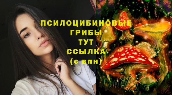 mdma Заводоуковск