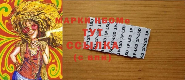 индика Вязники