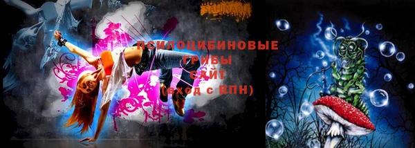 mdma Заводоуковск