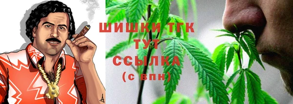 индика Вязники