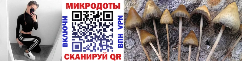 Галлюциногенные грибы GOLDEN TEACHER  Купить где  Лосино-Петровский 